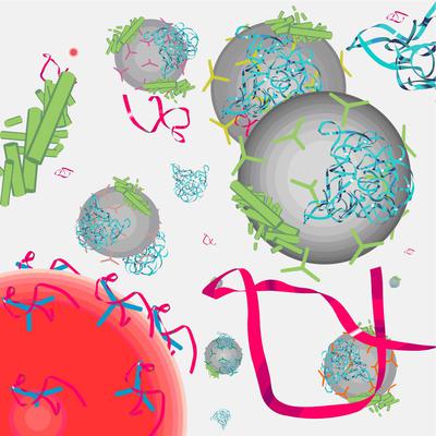 Illustration of branched peptide screening on solid support for binding to a specific RNA sequence.